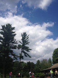 © 2014 the Jotter’s Joint 