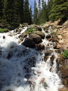 © 2014 the Jotter’s Joint 