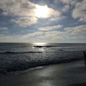 © 2014 the Jotter’s Joint 